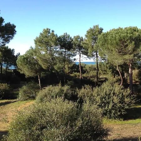 Tenuta Le Marze Кастильоне-делла-Пеская Экстерьер фото