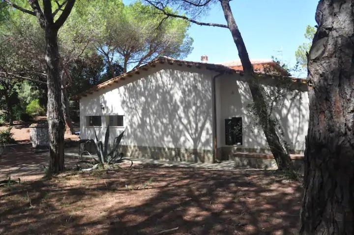 Tenuta Le Marze Кастильоне-делла-Пеская Экстерьер фото